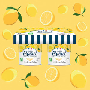 Sorbets artisanaux Citron Jaune Bio